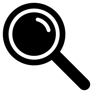 Camera Inspections Icon