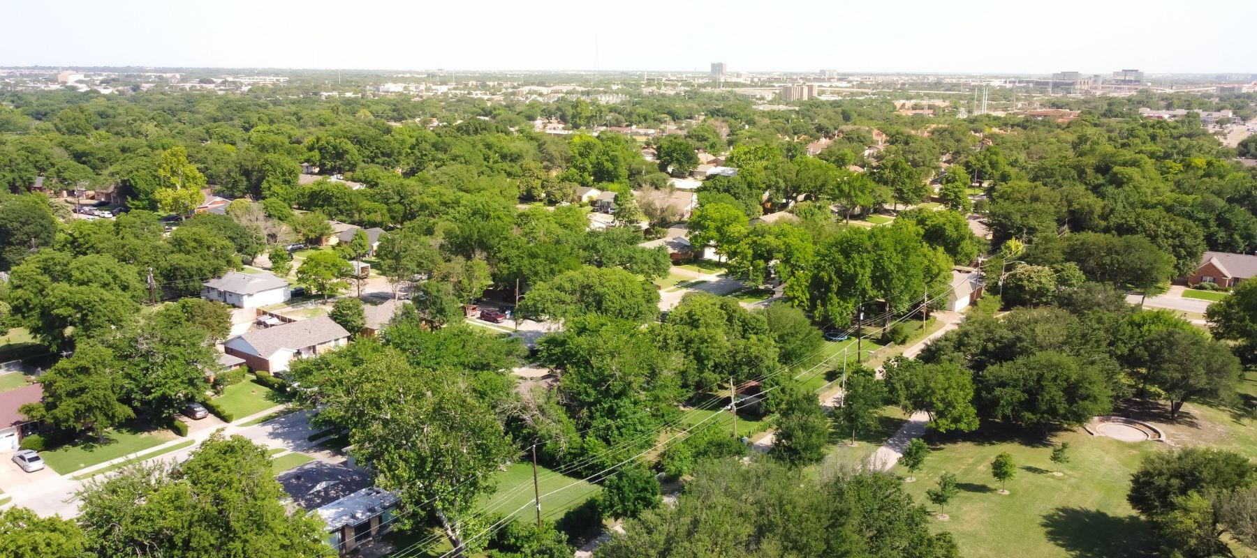 aerial view of a very lush Plano, TX neighborhood with many green trees