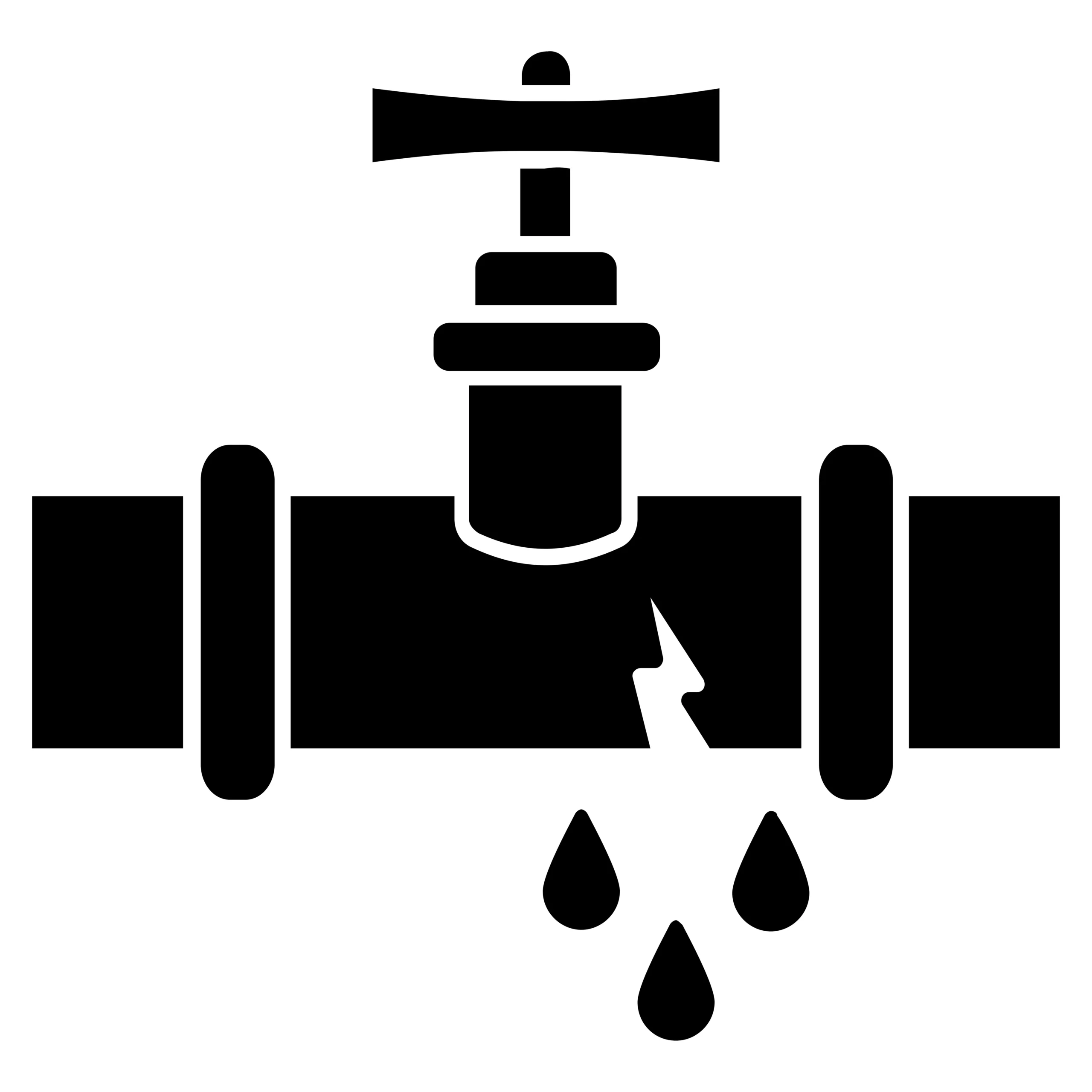 Sewer Leak Detection Icon