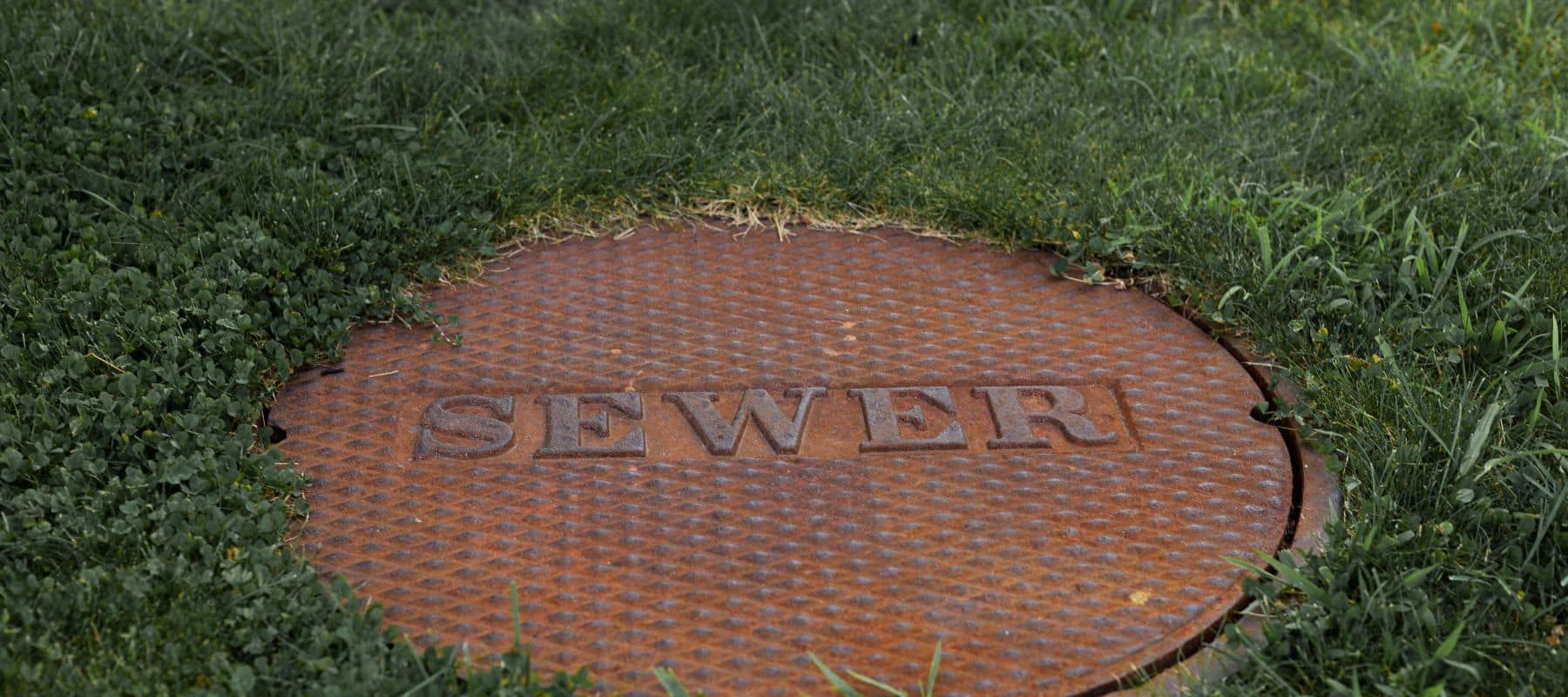 Rusted metal sewer cover surrounded by grass