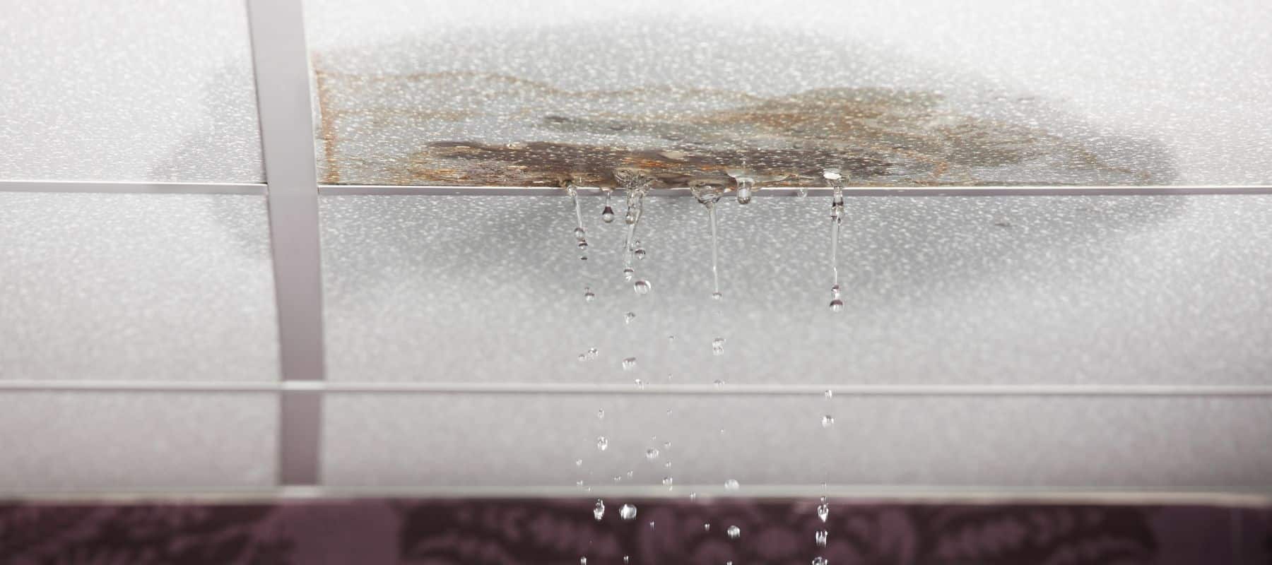 Water leaking from a damaged ceiling tile with visible water stains and dripping droplets