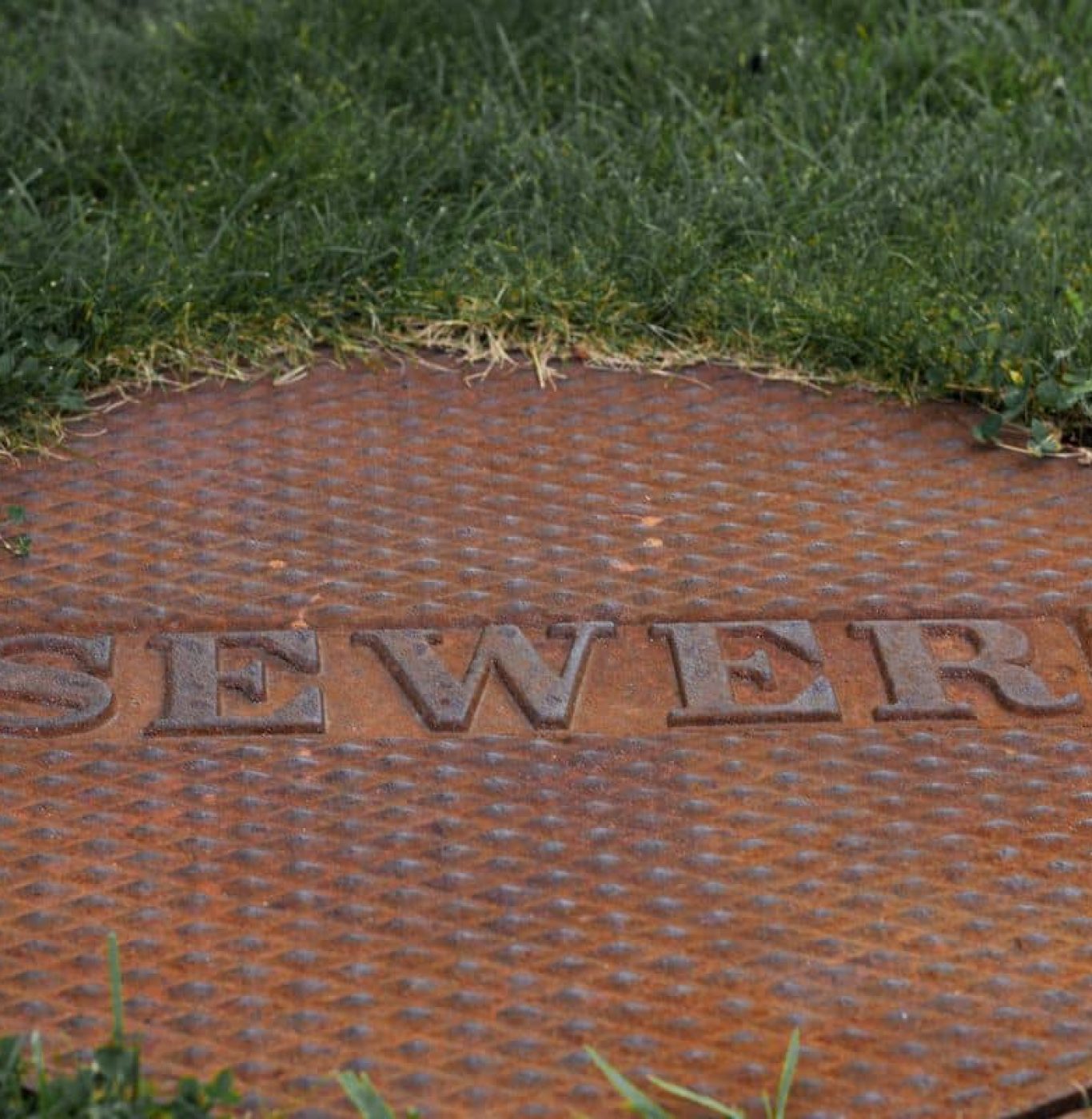 Rusted metal sewer cover surrounded by grass